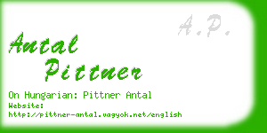 antal pittner business card